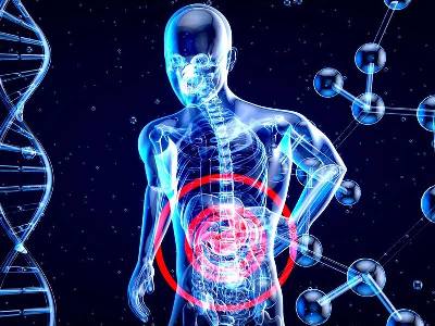 Hormonlar, büyüme, gelişme, ergenlik, üreme ve metabolik olayların gerçekleşmesinde görev yapan kimyasal  habercilerdir.  